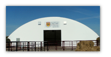 University of Calgary Department of veterinary Medicine Clearspan Branded Logo Tent, UC of Campus, Calgary (4x series)
