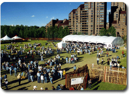 Festival tent