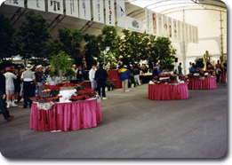 Community association party tent