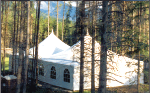 Two White Peak Marquee MQ30 Golf Cart Storage Tents