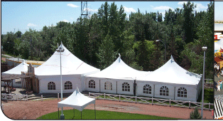 Group of Peak Marquee MQ30 Party Tents, various styles, sizes and colors