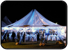 Elegent eye catching wedding Peak Pole Tent