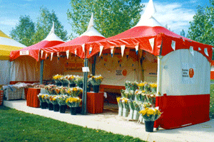Several Red,White,Yellow MQ10 Tents joined to make a great Sales kiosk tent