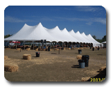 Portable Shade Structure for Festival Venue in Parking Lot