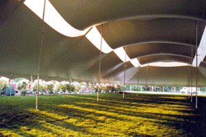 Twin Peak Pole Tension Tent, PPT80X, botanical garden in Montreal, inside view