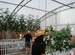 WSSL Modular Clearspan Building,Model Mod 2x, industrial commercial tent being used as an industrial green house for an Agrium event