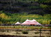 WSSL Peak Pole Tent, 90X, Alaska Festival Tent